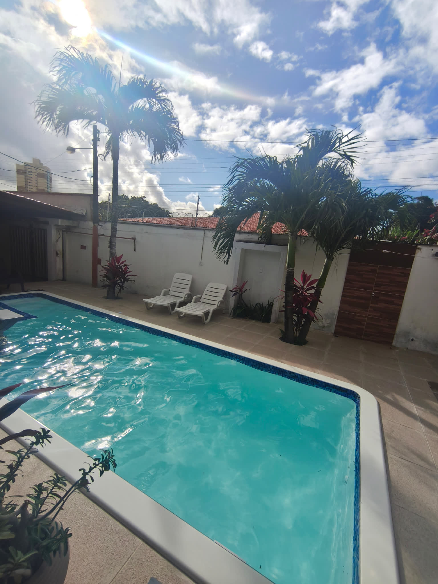 Piscina do Studio29 em dia de sol, com espreguiçadeiras e palmeiras ao redor